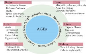 Advanced Glycation End-Products AGEs and Disease